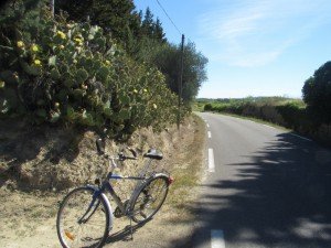 sur une petite route - mais rarement des voitures